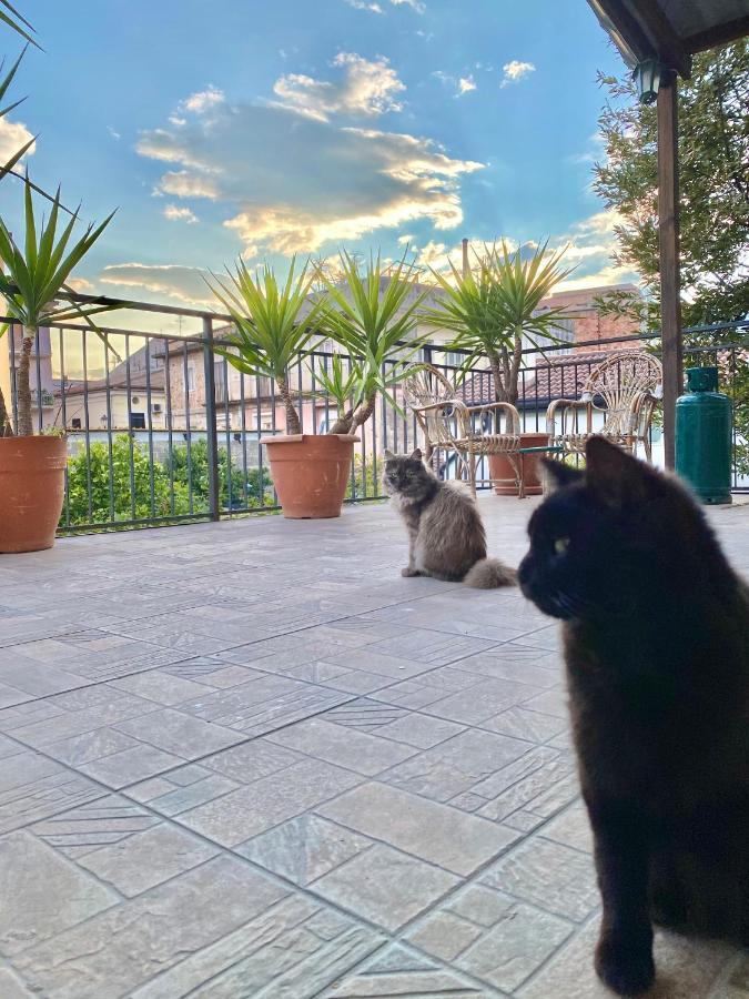 La Terrazza Villa Sapri Eksteriør billede